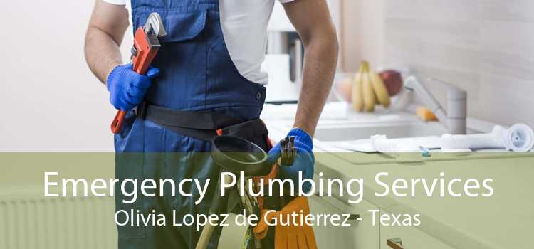 Emergency Plumbing Services Olivia Lopez de Gutierrez - Texas