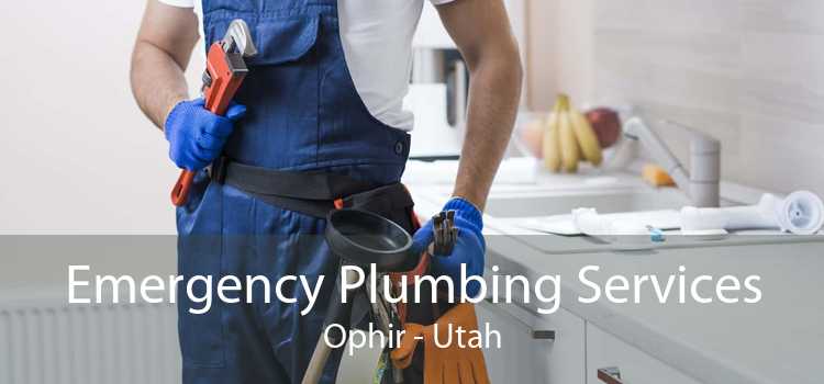 Emergency Plumbing Services Ophir - Utah