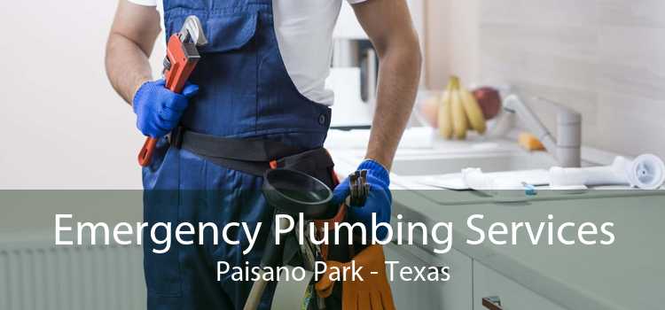 Emergency Plumbing Services Paisano Park - Texas