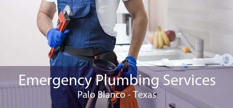Emergency Plumbing Services Palo Blanco - Texas