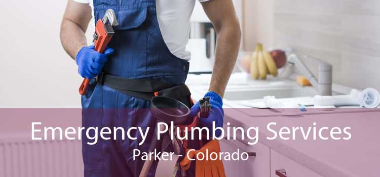 Emergency Plumbing Services Parker - Colorado