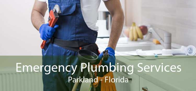 Emergency Plumbing Services Parkland - Florida