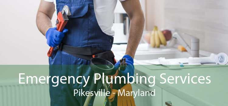 Emergency Plumbing Services Pikesville - Maryland