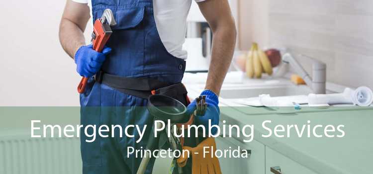 Emergency Plumbing Services Princeton - Florida