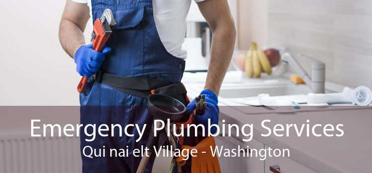 Emergency Plumbing Services Qui nai elt Village - Washington