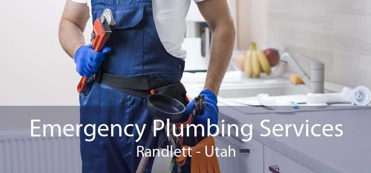 Emergency Plumbing Services Randlett - Utah