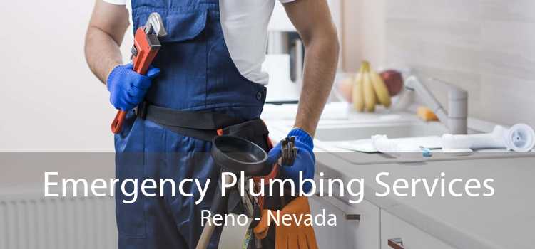 Emergency Plumbing Services Reno - Nevada