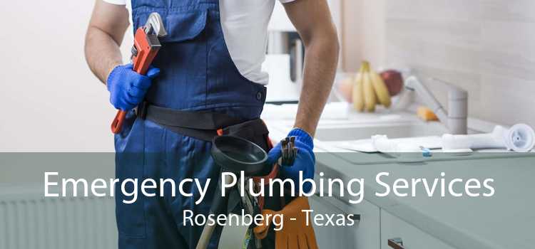Emergency Plumbing Services Rosenberg - Texas