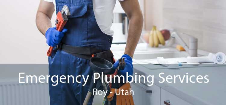 Emergency Plumbing Services Roy - Utah