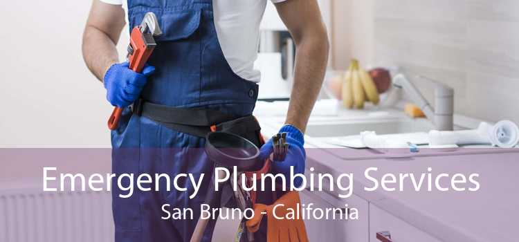 Emergency Plumbing Services San Bruno - California