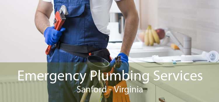 Emergency Plumbing Services Sanford - Virginia