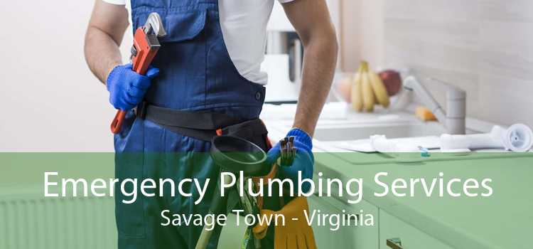 Emergency Plumbing Services Savage Town - Virginia