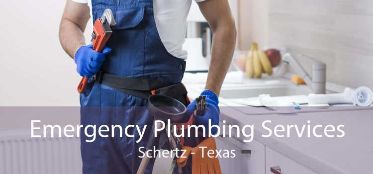 Emergency Plumbing Services Schertz - Texas