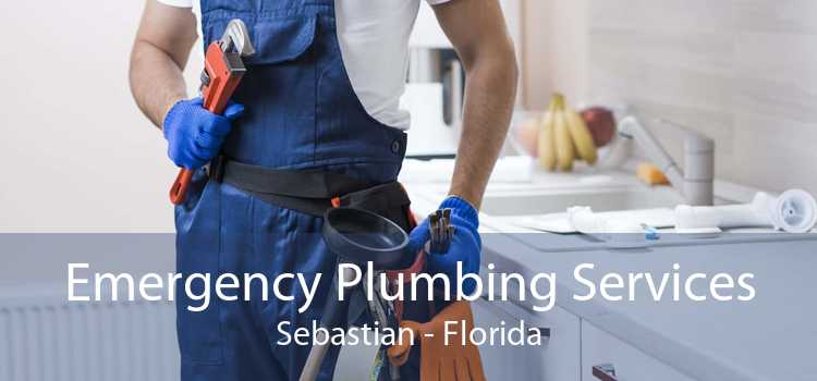 Emergency Plumbing Services Sebastian - Florida