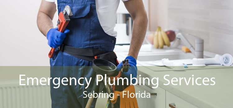 Emergency Plumbing Services Sebring - Florida