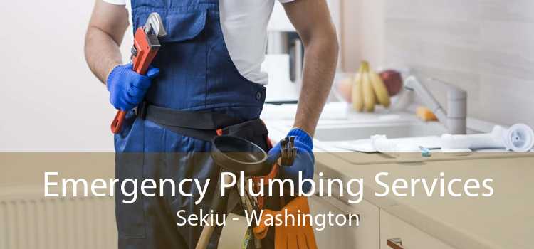 Emergency Plumbing Services Sekiu - Washington