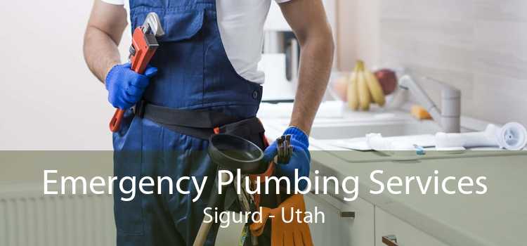 Emergency Plumbing Services Sigurd - Utah