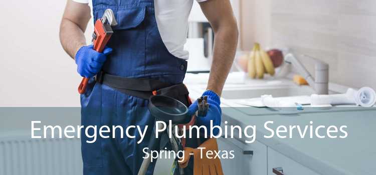 Emergency Plumbing Services Spring - Texas