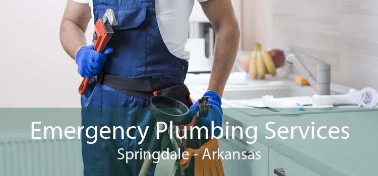 Emergency Plumbing Services Springdale - Arkansas