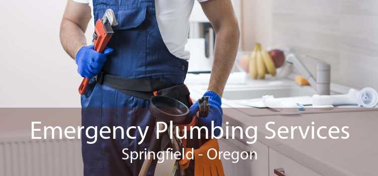 Emergency Plumbing Services Springfield - Oregon