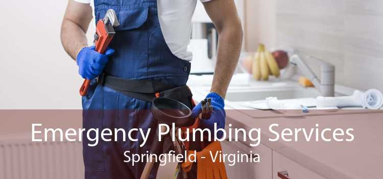 Emergency Plumbing Services Springfield - Virginia