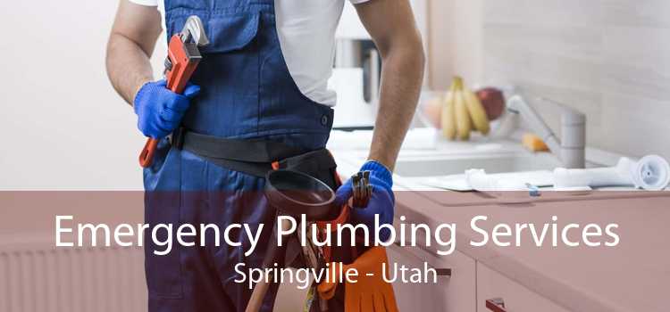 Emergency Plumbing Services Springville - Utah