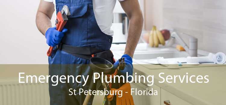Emergency Plumbing Services St Petersburg - Florida