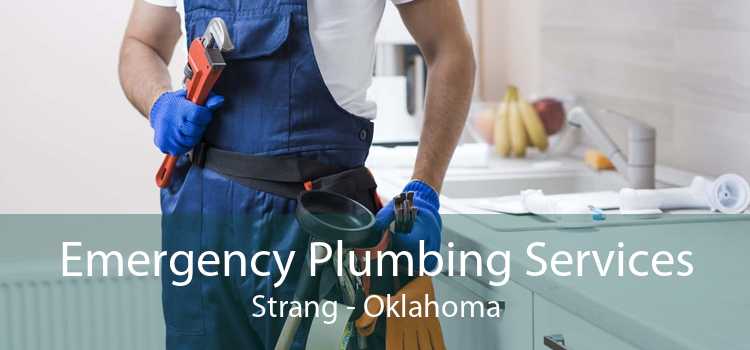 Emergency Plumbing Services Strang - Oklahoma