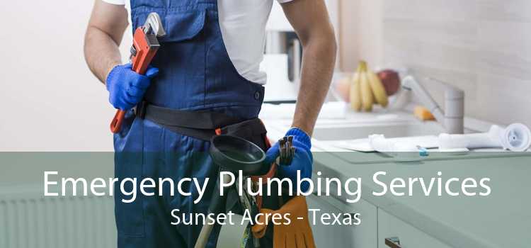 Emergency Plumbing Services Sunset Acres - Texas