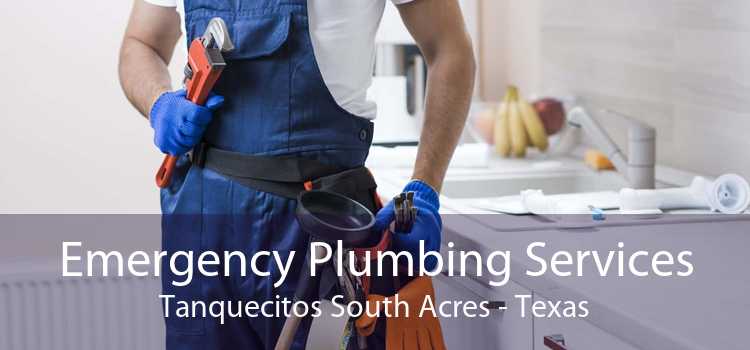 Emergency Plumbing Services Tanquecitos South Acres - Texas