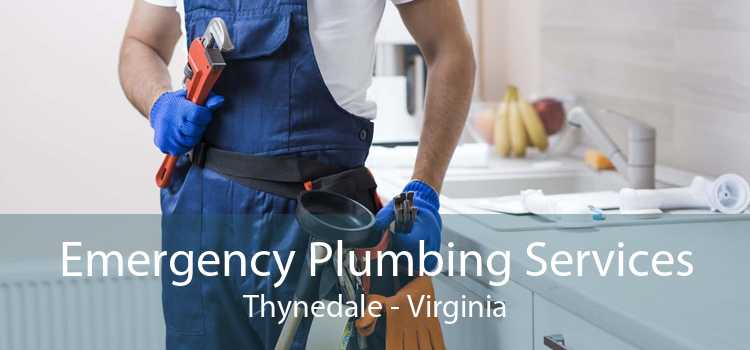 Emergency Plumbing Services Thynedale - Virginia
