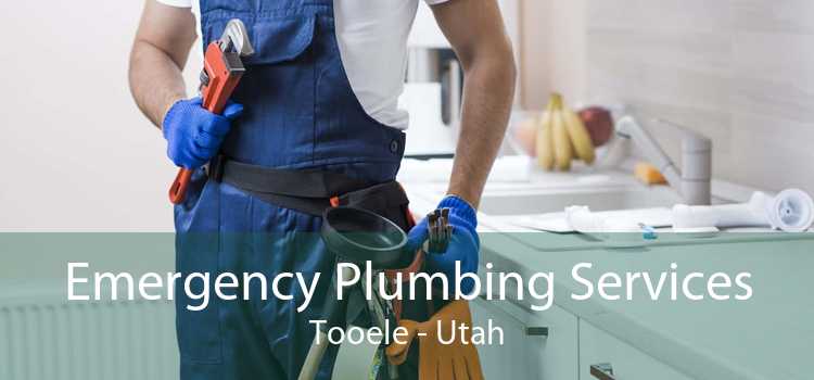 Emergency Plumbing Services Tooele - Utah