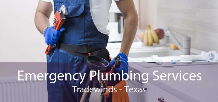 Emergency Plumbing Services Tradewinds - Texas