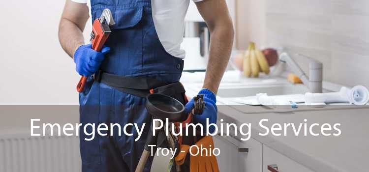 Emergency Plumbing Services Troy - Ohio