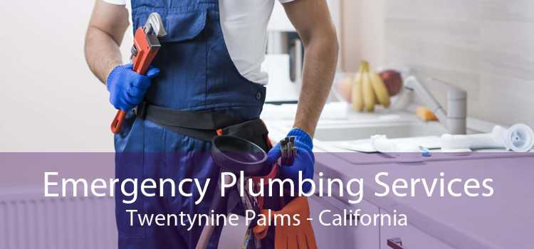 Emergency Plumbing Services Twentynine Palms - California