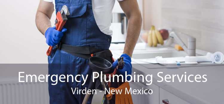 Emergency Plumbing Services Virden - New Mexico