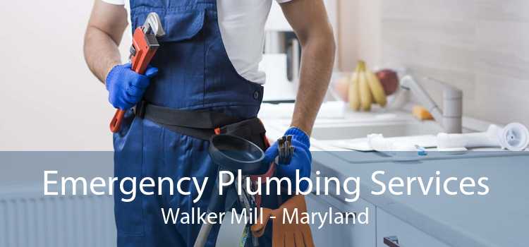 Emergency Plumbing Services Walker Mill - Maryland