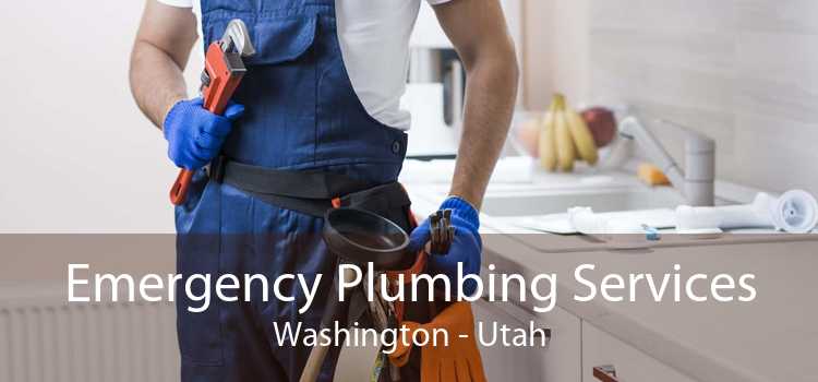 Emergency Plumbing Services Washington - Utah