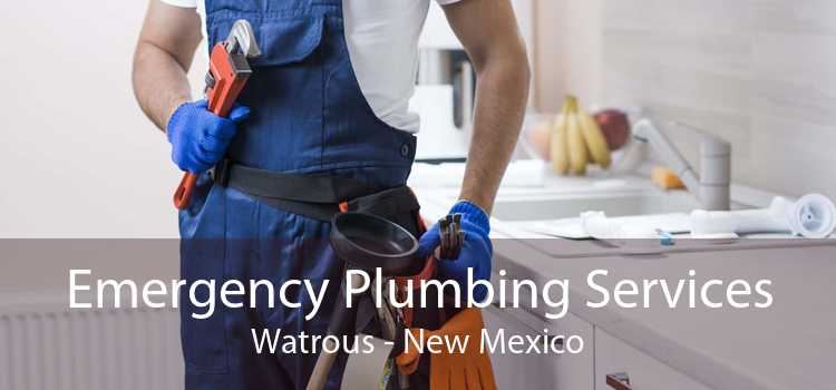 Emergency Plumbing Services Watrous - New Mexico