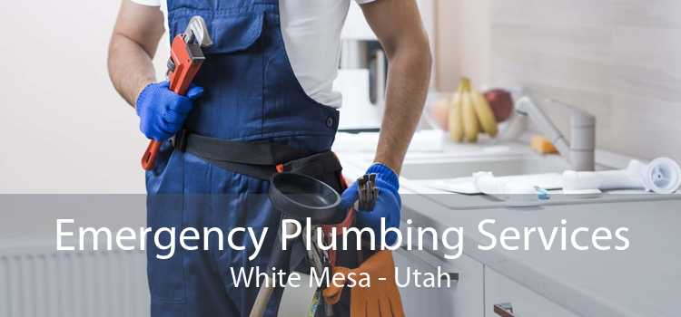 Emergency Plumbing Services White Mesa - Utah