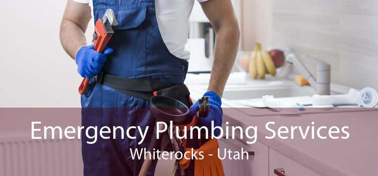 Emergency Plumbing Services Whiterocks - Utah