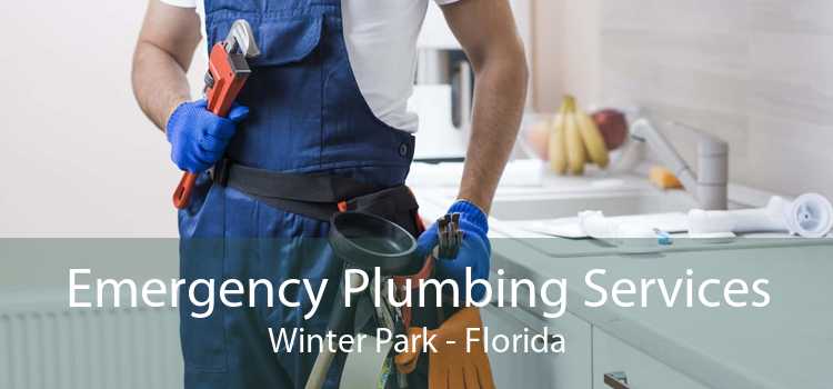 Emergency Plumbing Services Winter Park - Florida