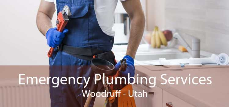 Emergency Plumbing Services Woodruff - Utah