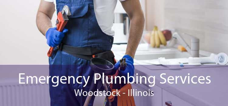 Emergency Plumbing Services Woodstock - Illinois