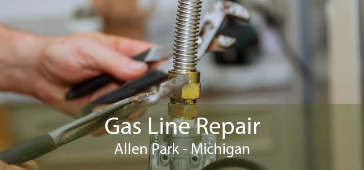 Gas Line Repair Allen Park - Michigan