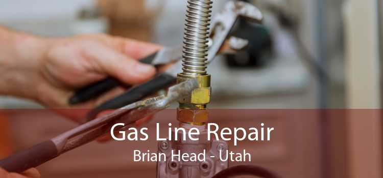 Gas Line Repair Brian Head - Utah