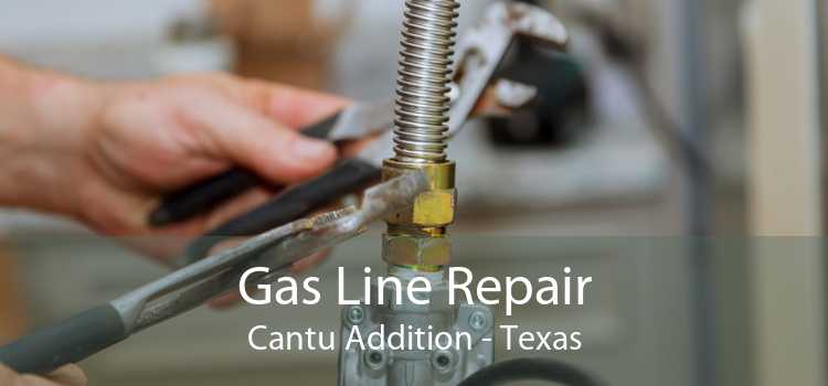 Gas Line Repair Cantu Addition - Texas