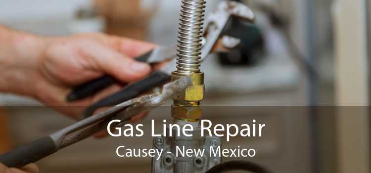 Gas Line Repair Causey - New Mexico