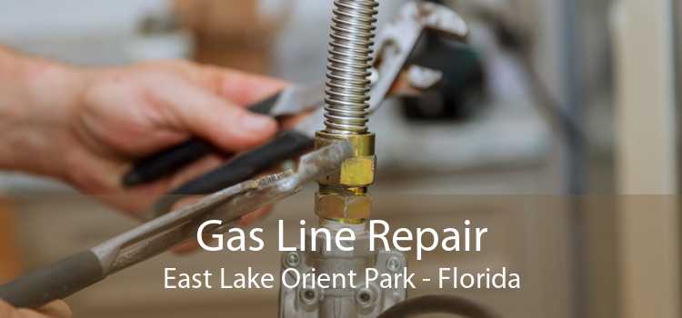 Gas Line Repair East Lake Orient Park - Florida