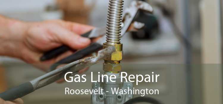 Gas Line Repair Roosevelt - Washington